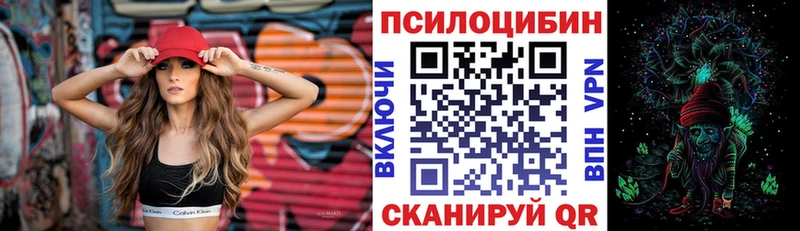 купить  цена  Кизел  Псилоцибиновые грибы GOLDEN TEACHER 